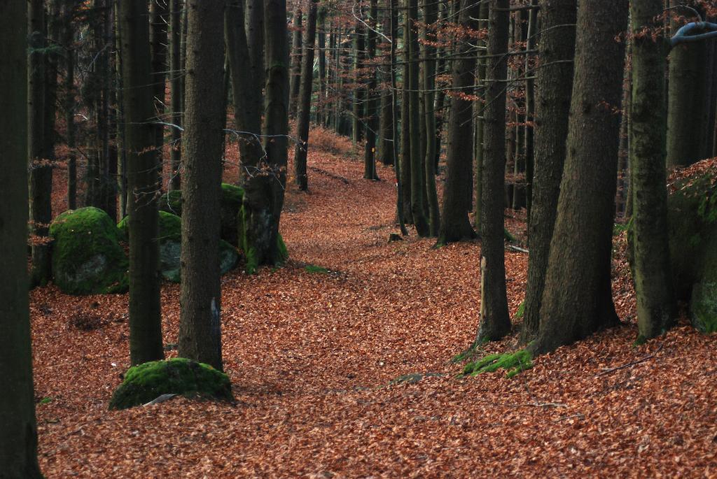 Gasthof Und Pension Haunschmid Rechberg المظهر الخارجي الصورة